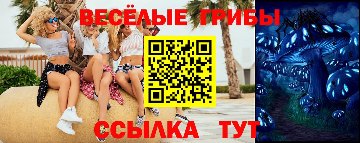 Псилоцибиновые грибы Cubensis  Псилоцибиновые грибы мухоморы  купить наркотики сайты  Минеральные Воды  Вход с VPN 