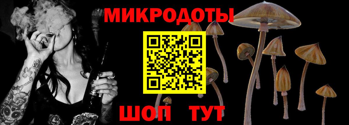 Галлюциногенные грибы Cubensis Минеральные Воды